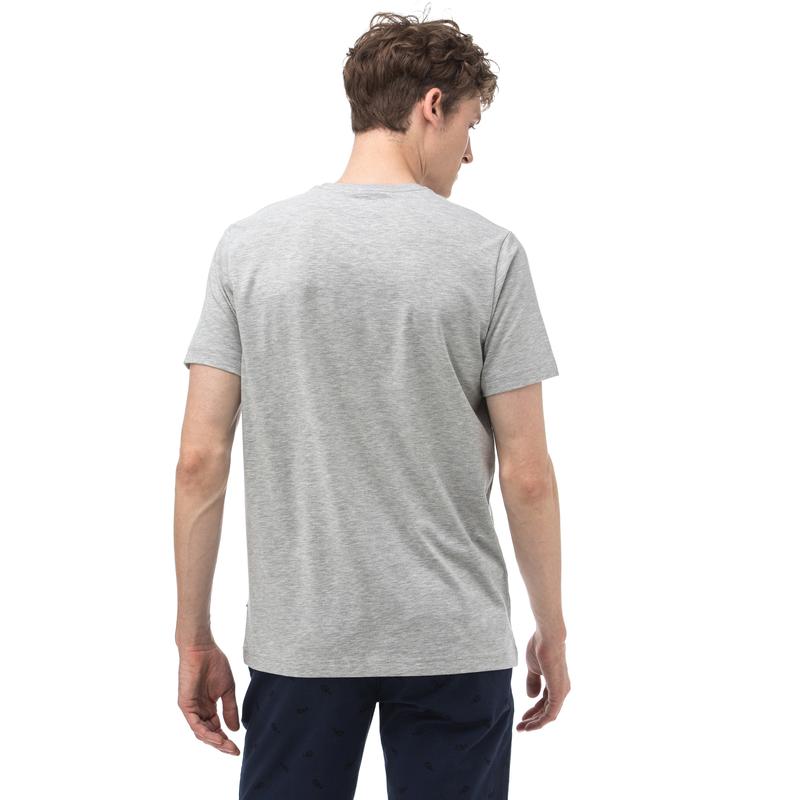 NAUTICA Erkek Gri T-Shirt